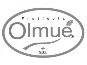 Frutícola Olmué SPA